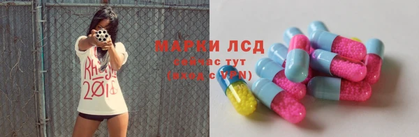 прущие грибы Алексин