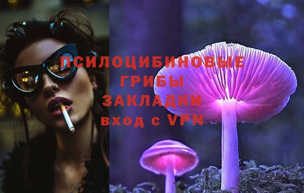 прущие грибы Алексин
