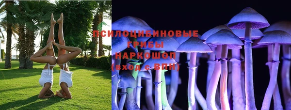 прущие грибы Алексин