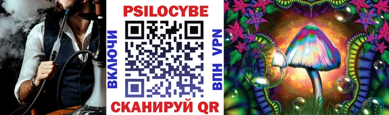 где купить наркотик  Оленегорск  Псилоцибиновые грибы MAGIC MUSHROOMS 